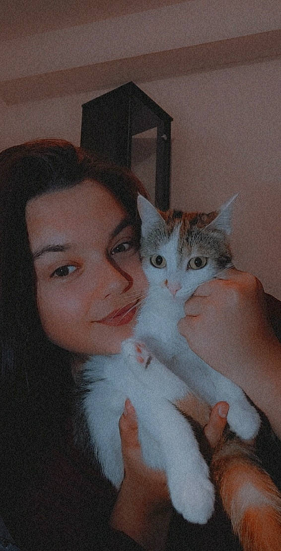 Princess a rejoint le concours — aidez-le/la à gagner de superbes lots ! carnivore, cat, comfort, domestic_short_haired_cat, ear, eye, eyebrow, eyelash, fawn, felidae, fur, gesture, hand, iris, long_hair, nose, skin, small_to_medium_sized_cats, tail, whiskers