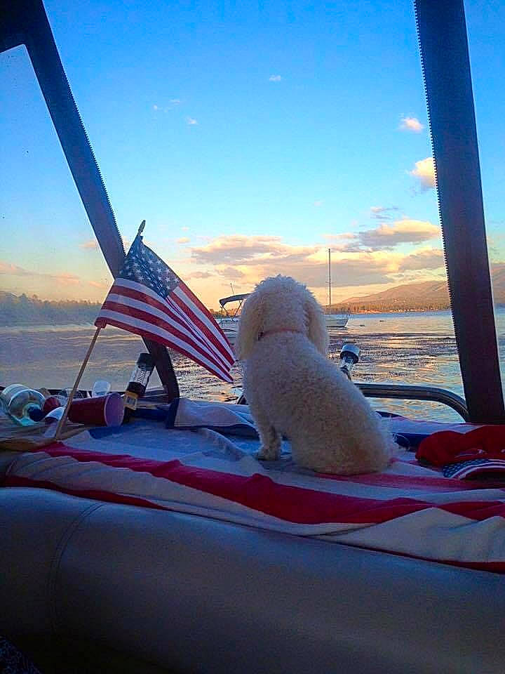 Mischa joined the competition — help win amazing prizes! air_travel, boat, boats_and_boating_equipment_and_supplies, cloud, companion_dog, cumulus, electric_blue, horizon, landscape, leisure, ocean, recreation, sky, stuffed_toy, toy, travel, vacation, water_transportation, watercraft, wind