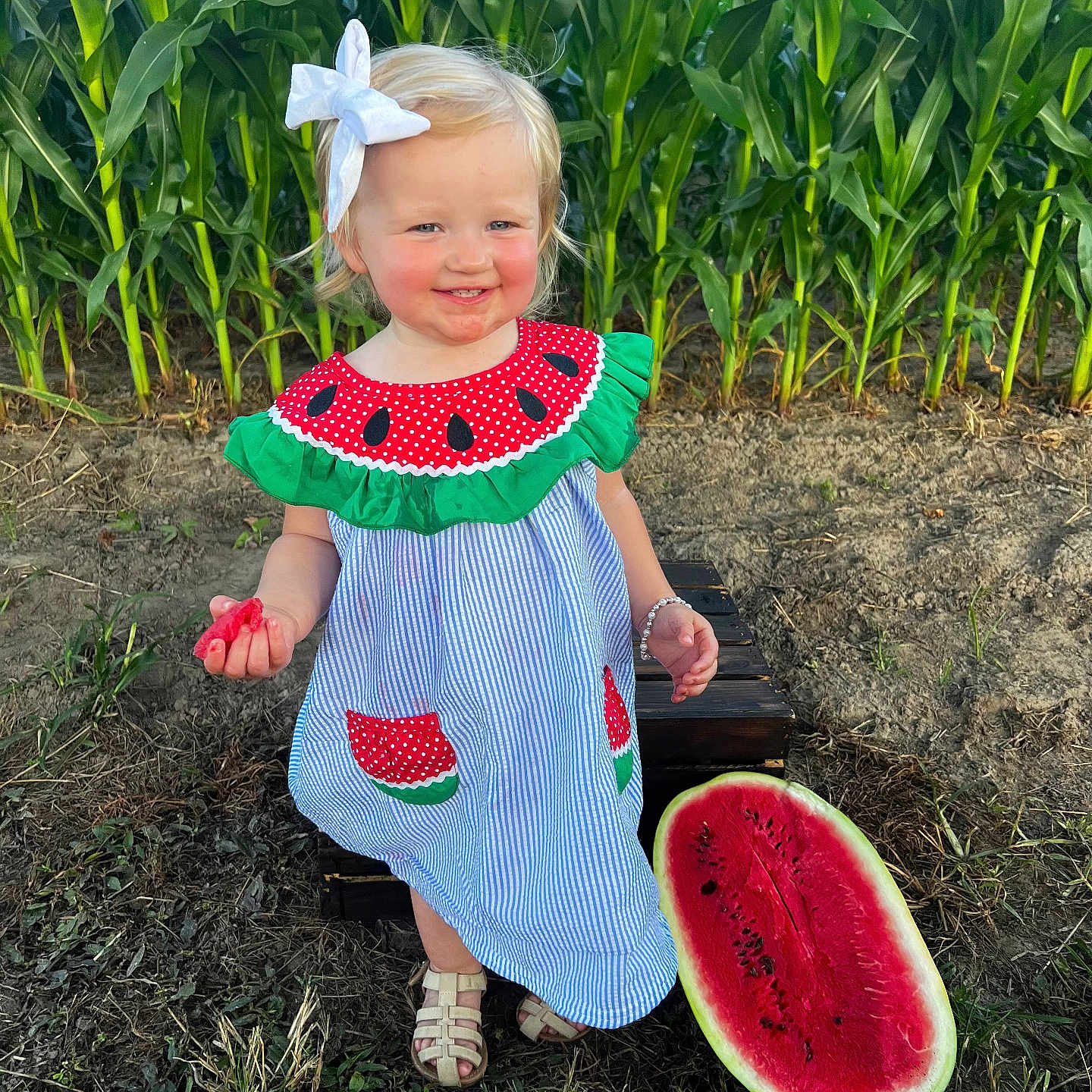 Karter Brooke is registered to the contest to win money with this photo: child, clothing, dress, face, female, food, footwear, fruit, girl, grass, head, melon, person, photography, plant, portrait, produce, sandal, soil, summer