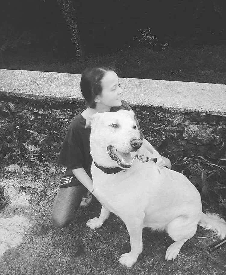 Djo participe au concours pour gagner de l'argent avec cette photo : american_staffordshire_terrier, black_and_white, bull_and_terrier, bulldog, canidae, carnivore, child, companion_dog, dog, dog_breed, fawn, non_sporting_group, photograph, snapshot