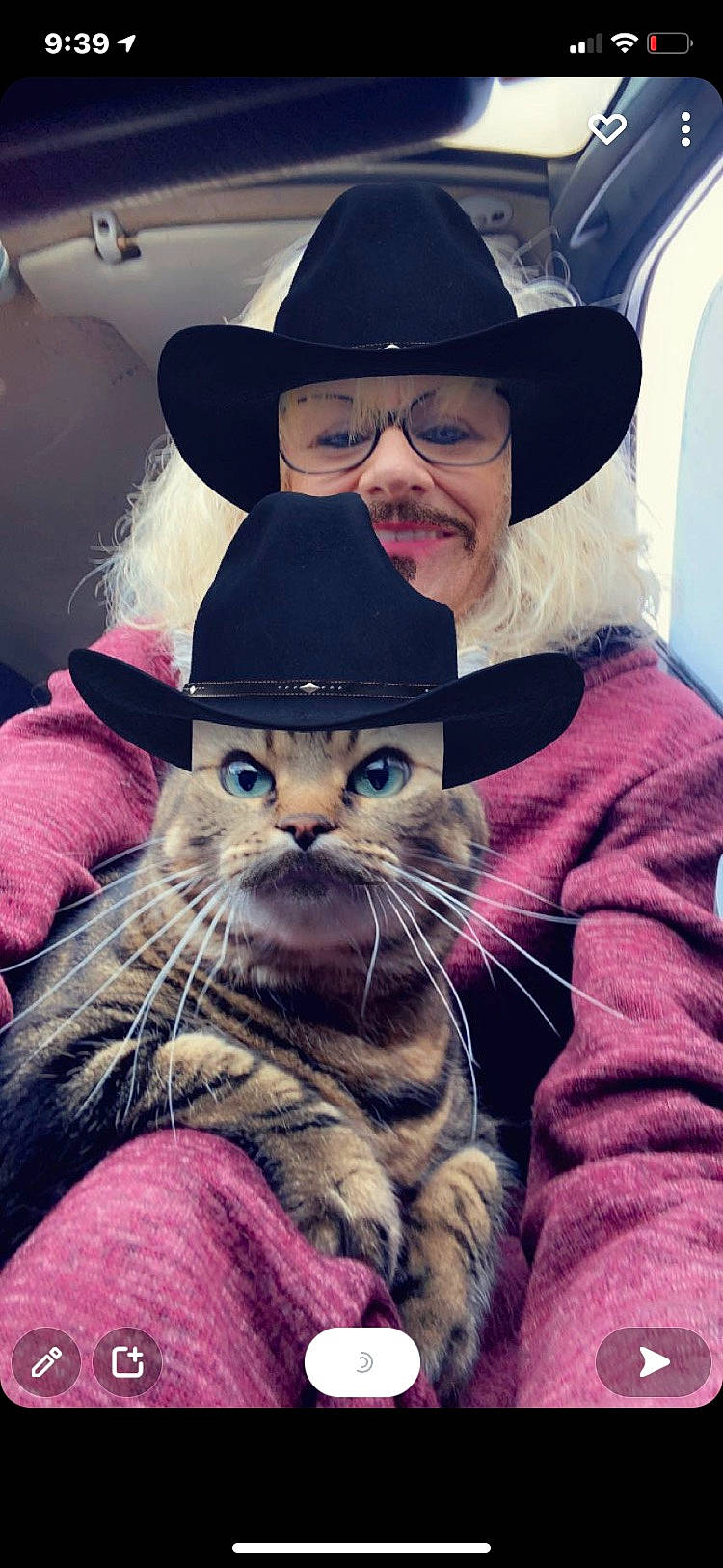 Cali is registered to the contest to win money with this photo: beard, carnivore, cat, cool, costume_hat, cowboy_hat, eyewear, fedora, felidae, glasses, happy, hat, headgear, purple, small_to_medium_sized_cats, smile, sun_hat, sunglasses, vision_care, whiskers
