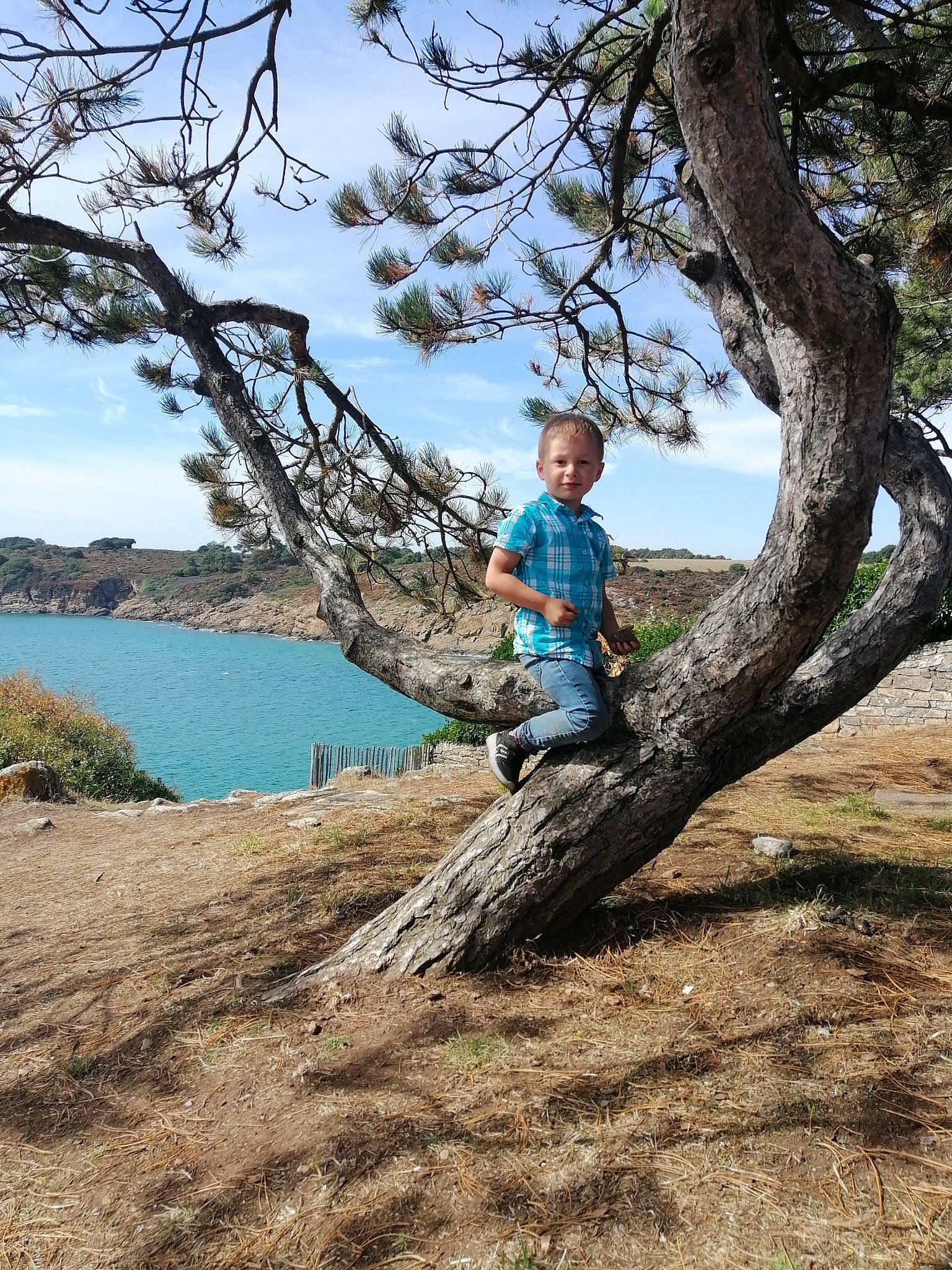 Gaël participe au concours pour gagner de l'argent avec cette photo : branch, cloud, fun, grass, happy, lake, landscape, leisure, people_in_nature, person, plant, recreation, rock, sky, soil, toddler, tree, trunk, twig, water