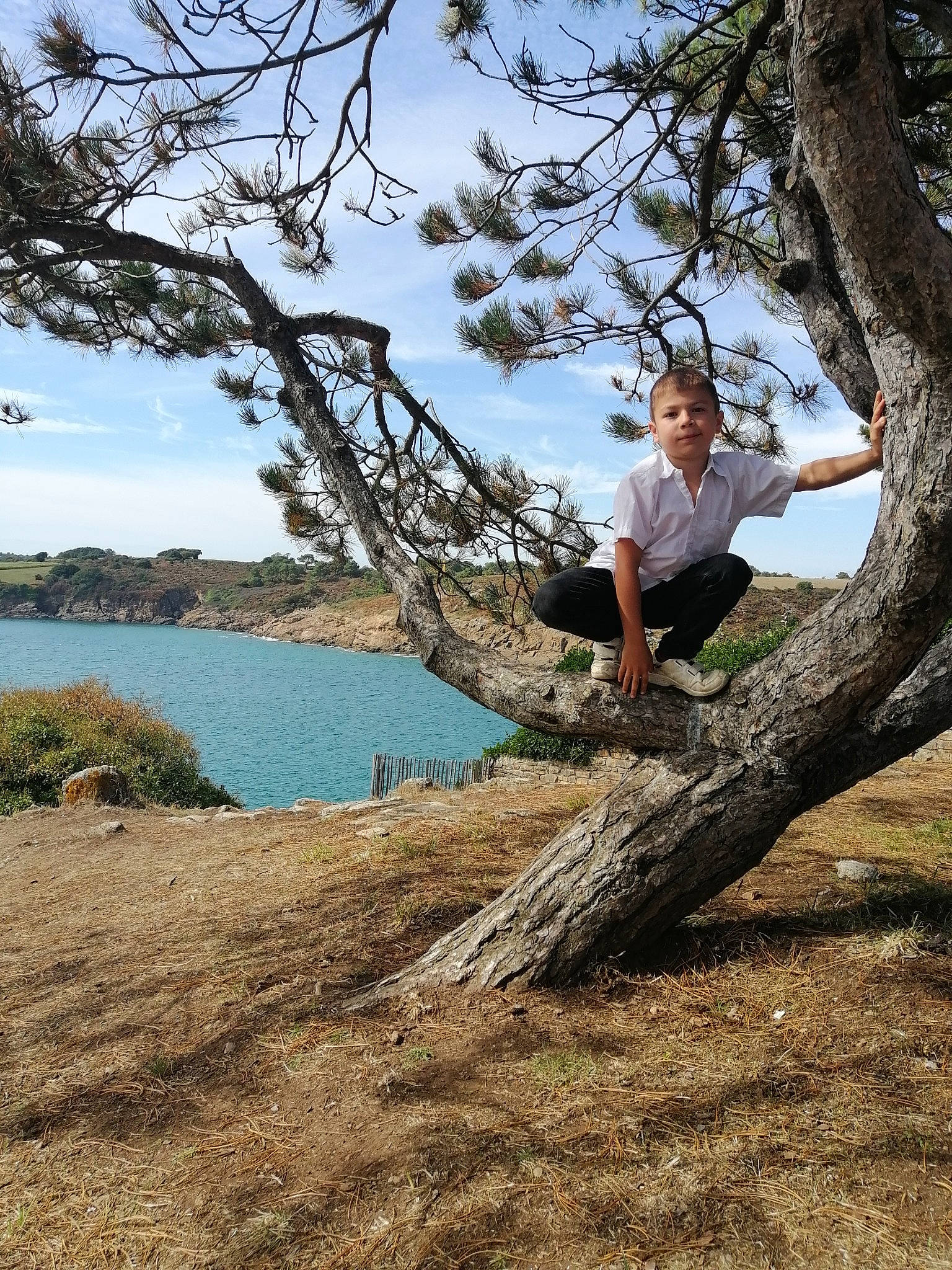 Mathieu a rejoint le concours — aidez-le/la à gagner de superbes lots ! branch, cloud, forest, fun, grass, happy, lake, landscape, leisure, natural_landscape, people_in_nature, person, plant, rock, sky, soil, tree, trunk, twig, water