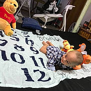 Brady joined the competition — help win amazing prizes! material, product, recreation, textile