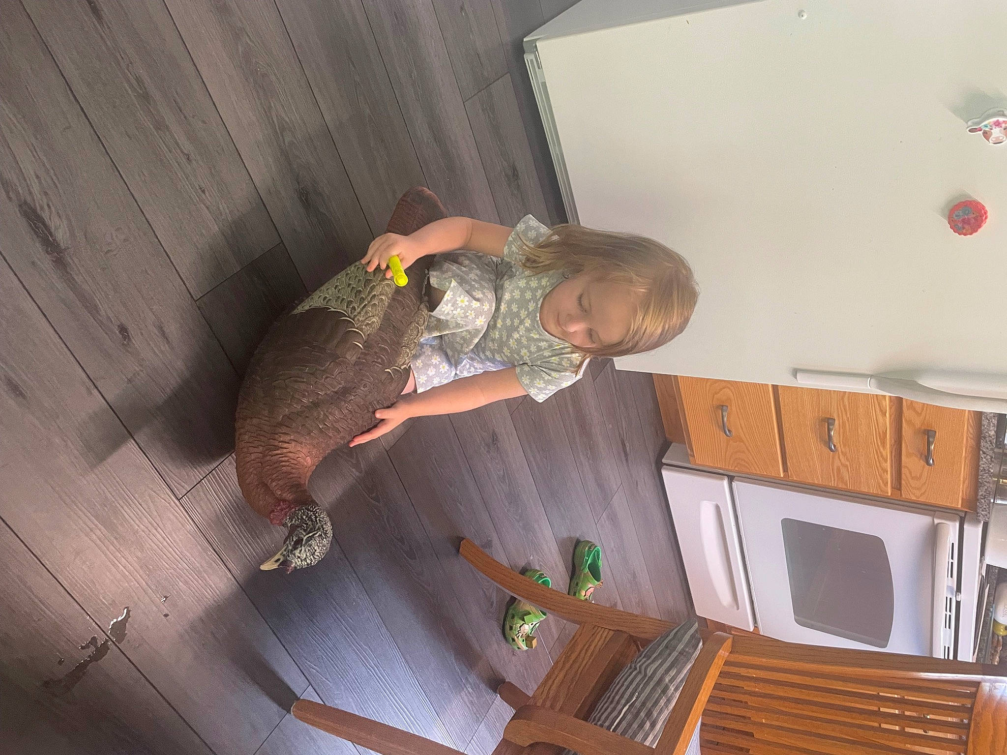 Jessie is registered to the contest to win money with this photo: cabinetry, ceiling, comfort, drawer, flooring, fun, hardwood, home_appliance, kitchen_appliance, person, refrigerator, room, toddler, wood