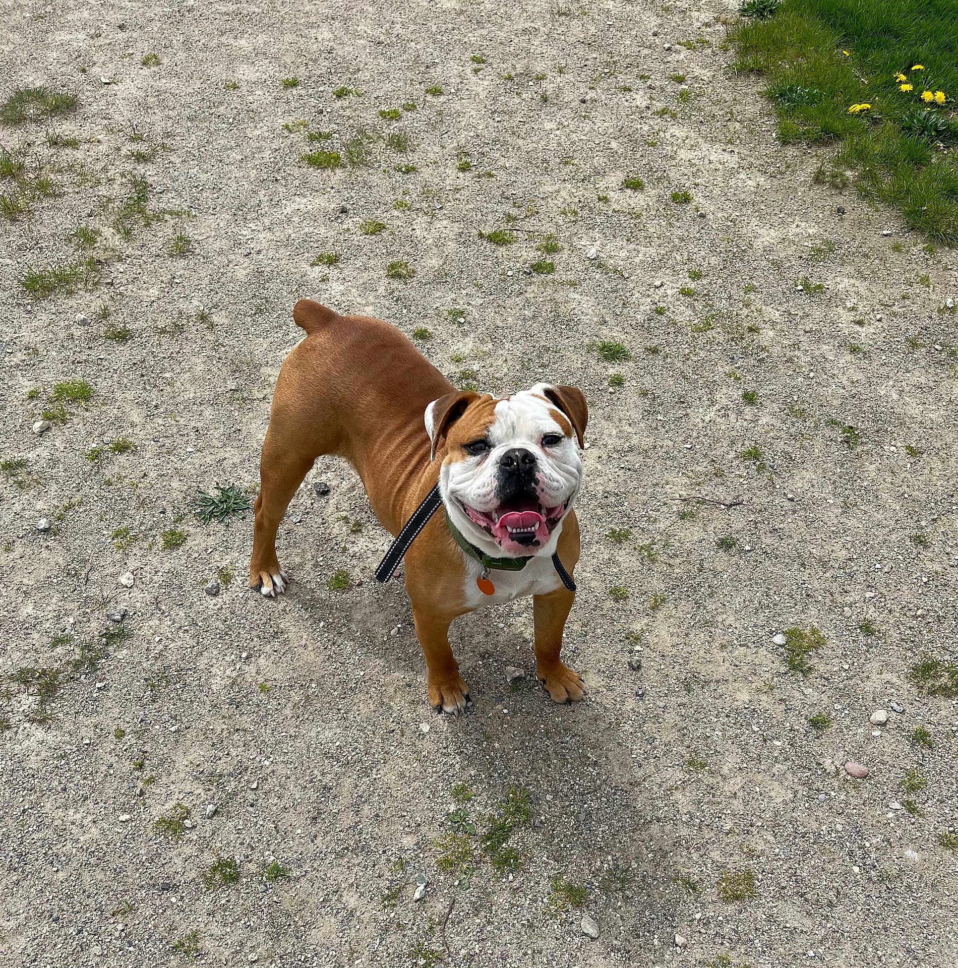 Winnie