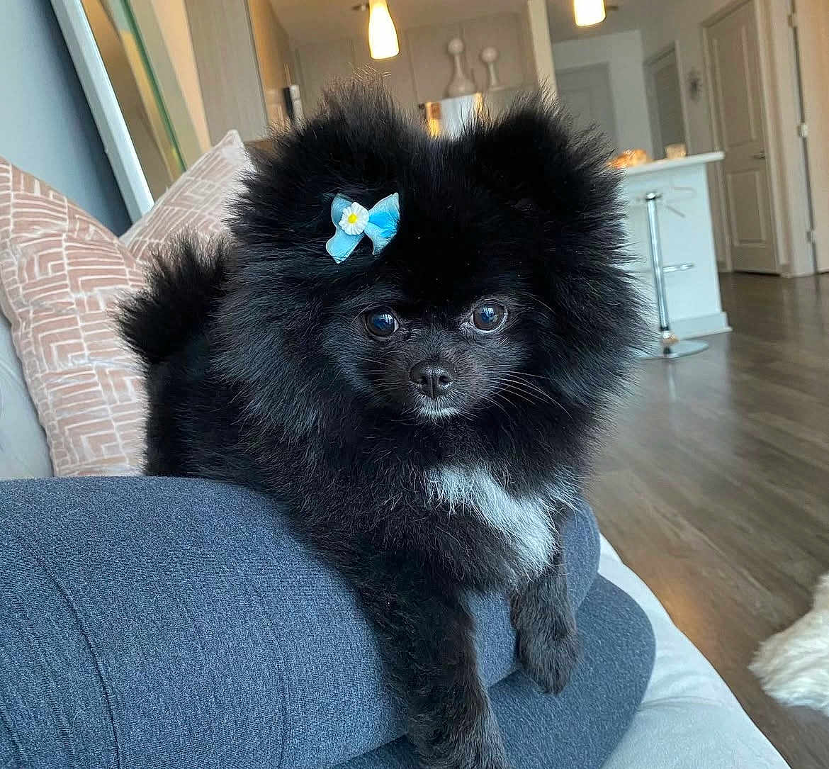 Chloé