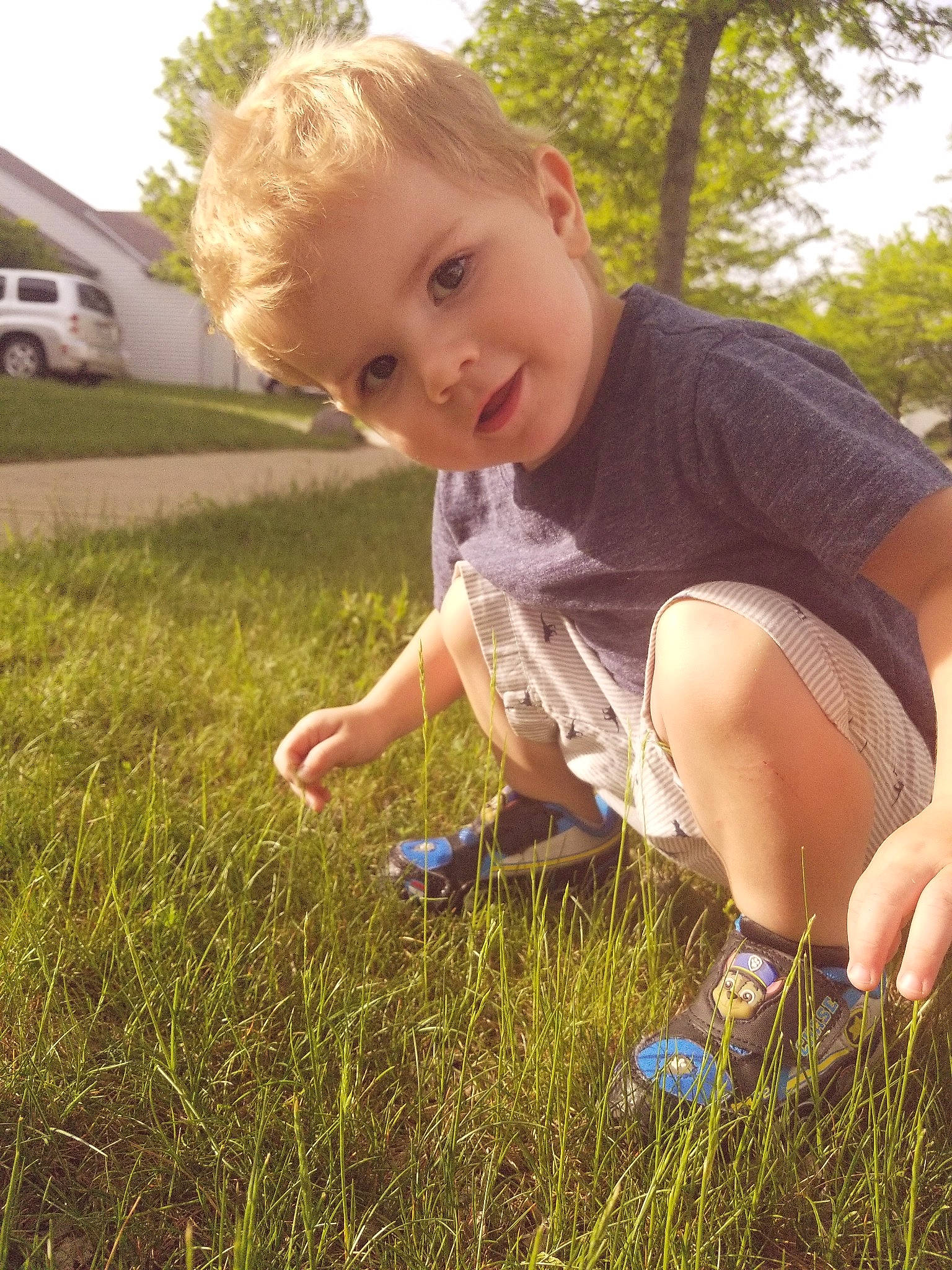 Roman is registered to the contest to win money with this photo: blond, child, fun, girl, grass, grass_family, hand, happiness, human_hair_color, infant, lawn, meadow, person, plant, play, sitting, skin, smile, spring, summer