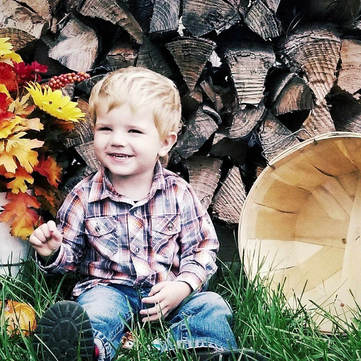 Roman is registered to the contest to win money with this photo: autumn, child, fun, girl, grass, joy, leaf, person, plant, play, smile, toddler, tree