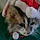 Mittens