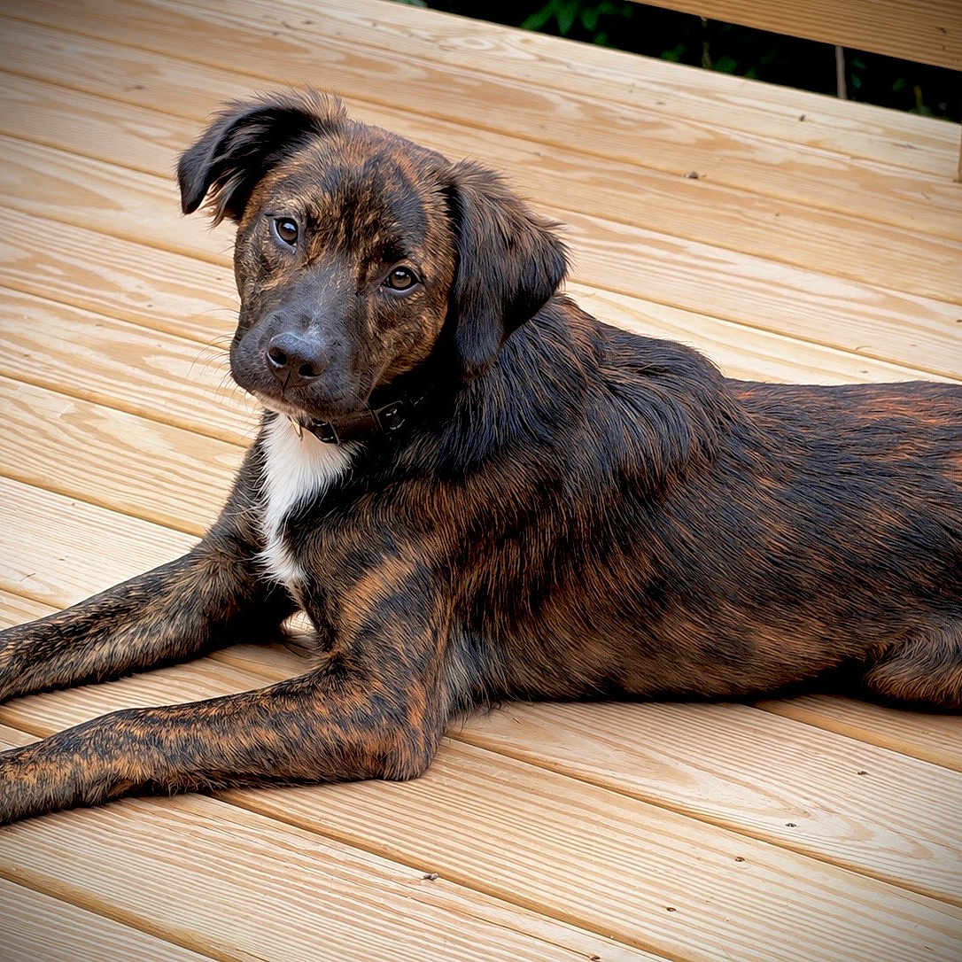 Wally