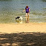 Carat a rejoint le concours — aidez-le/la à gagner de superbes lots ! beach, casual_clothing, companion, dog, greenery, lake, leisure, nature, outdoor, person, pet, reflection, ripples, sand, shorts, stick, summer, wading, walking, water