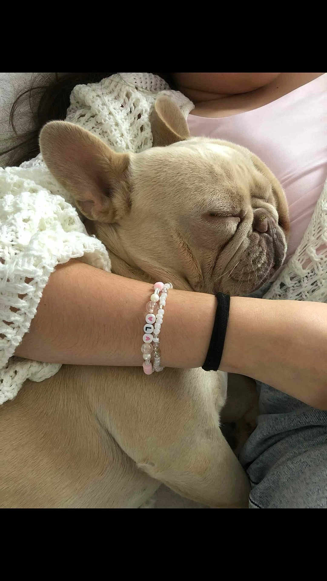 Uber participe au concours pour gagner de l'argent avec cette photo : dog, french_bulldog, sleeping, cute, pet, cozy, person, arm, bracelet, knitted_sweater, closeup, indoor, relaxation, resting, animal, friendship, calm, cute_pet, snuggle, soft