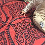 Theo Floyd is registered to the contest to win money with this photo: baby, child, clothing, overalls, embroidery, dog_patch, hand, finger, blanket, pattern, red, black, soft_focus, indoor, seated, fabric, texture, cute, closeup, blurred_background