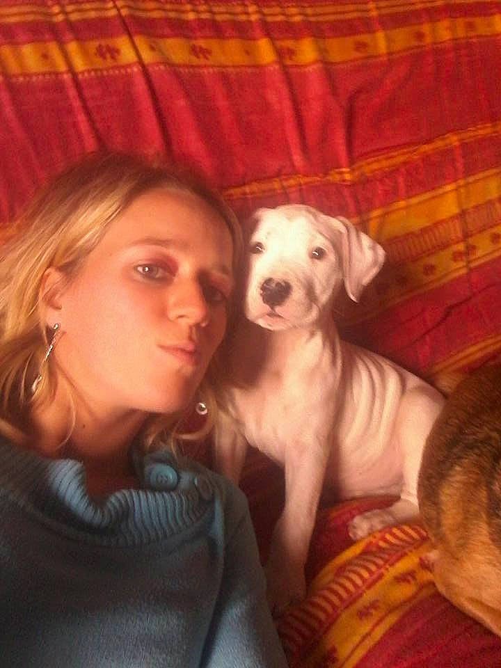 Cheyenne a rejoint le concours — aidez-le/la à gagner de superbes lots ! canidae, carnivore, comfort, companion_dog, couch, dog, dog_breed, ear, fawn, flash_photography, flooring, fun, fur, guard_dog, happy, mammal, puppy_love, selfie, sitting, sporting_group