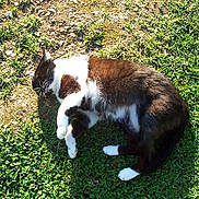 Mitzy participe au concours pour gagner de l'argent avec cette photo :