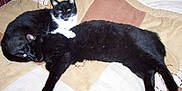 Mitzy participe au concours pour gagner de l'argent avec cette photo :