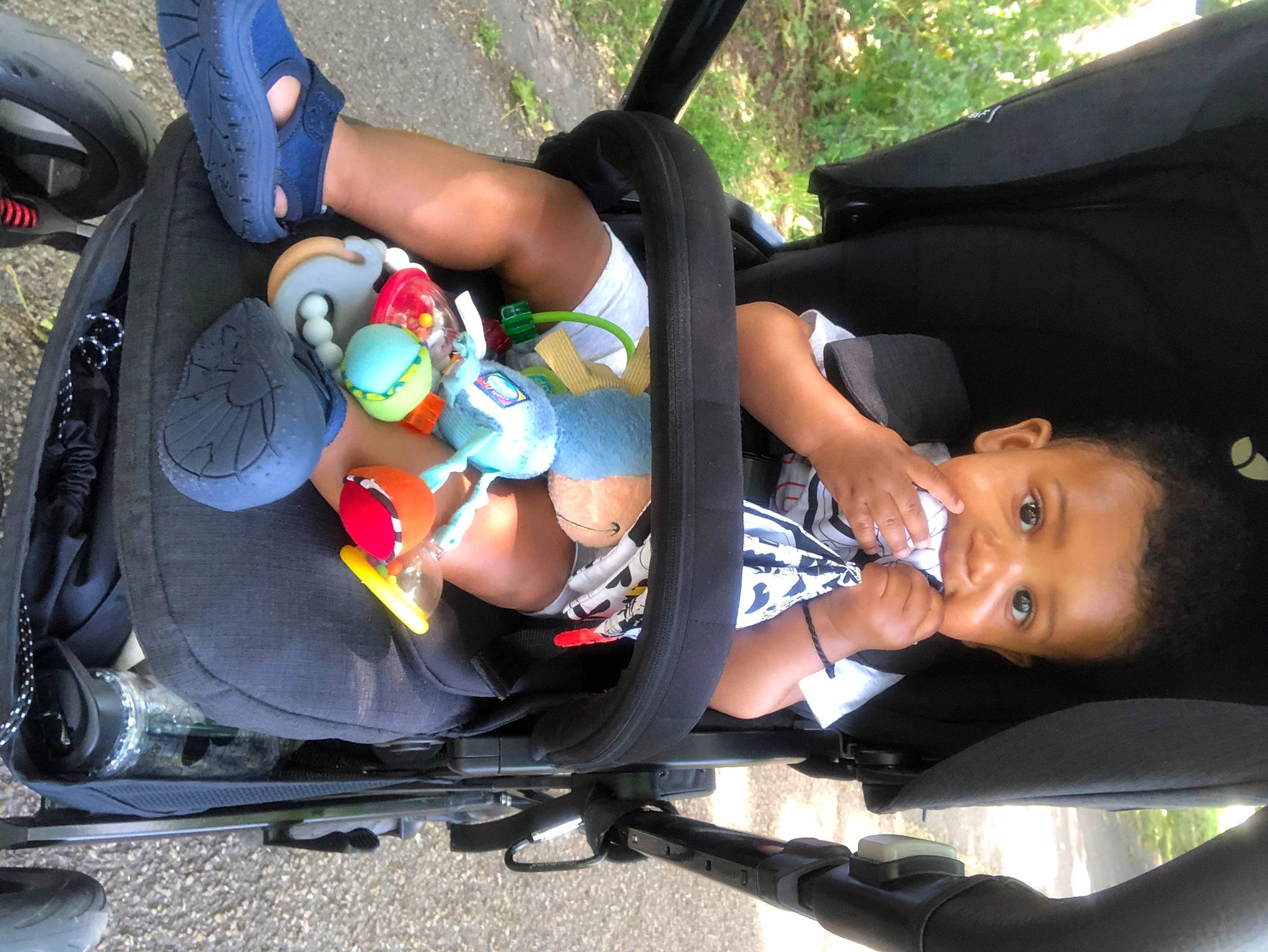 Miles joined the competition — help win amazing prizes! auto_part, automotive_exterior, baby_carriage, baby_products, car, car_seat, child, fun, hand, lap, leisure, motor_vehicle, person, plant, recreation, tire, toddler, tree, vehicle, vehicle_door