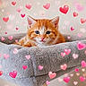 Simba a rejoint le concours — aidez-le/la à gagner de superbes lots ! kitten, cat, orange_cat, pet, animal, cute, heart_overlay, soft_bed, feline, domestic_cat, fluffy, adorable, resting, cozy, indoor, closeup, portrait, pink_hearts, love, cute_pet