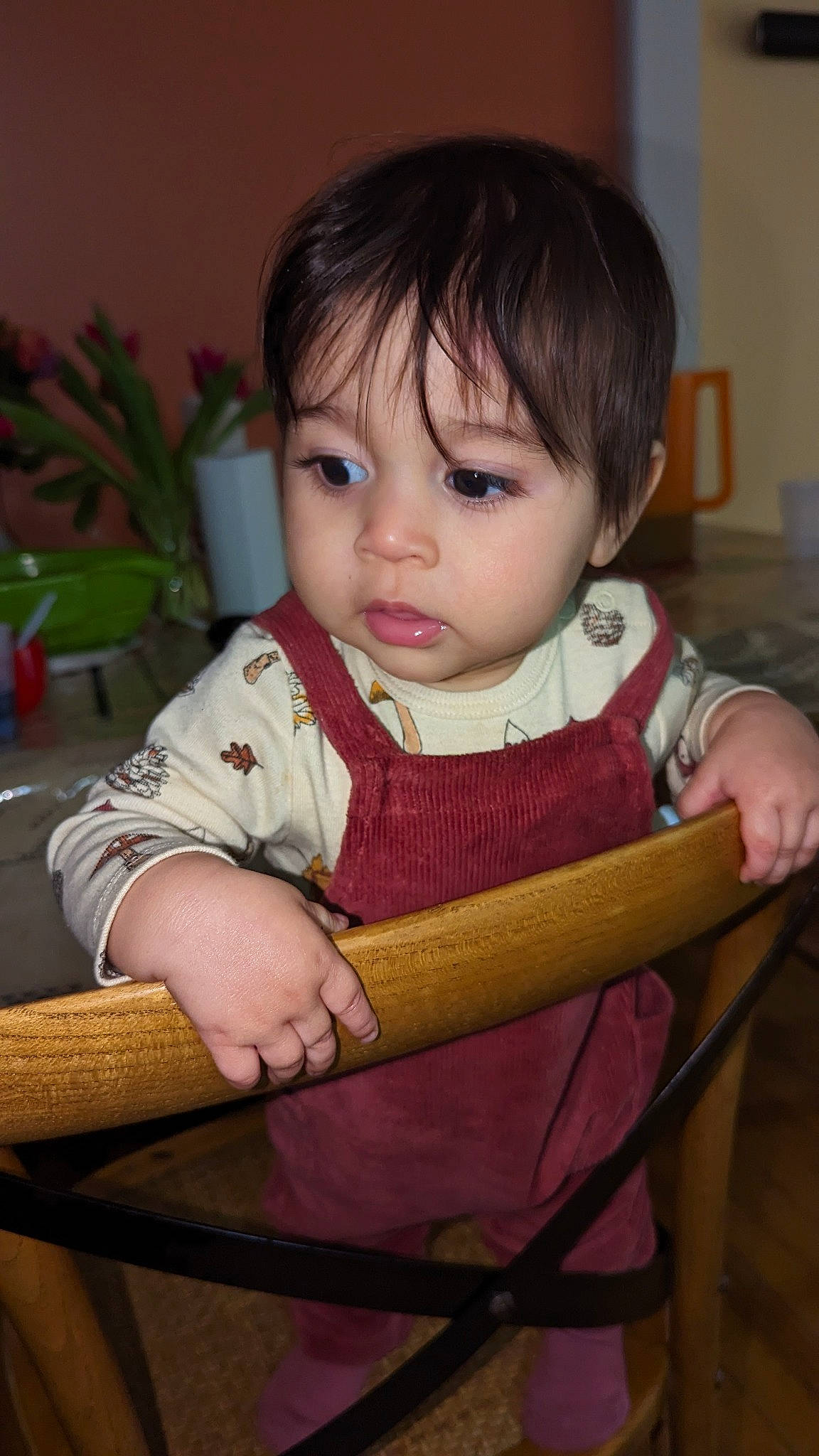 Marco is registered to the contest to win money with this photo: baby, baby_products, baby_toddler_clothing, bangs, cheek, child, elbow, eyelash, flowerpot, fun, houseplant, iris, lip, nose, person, plant, sitting, skin, sleeve, toddler