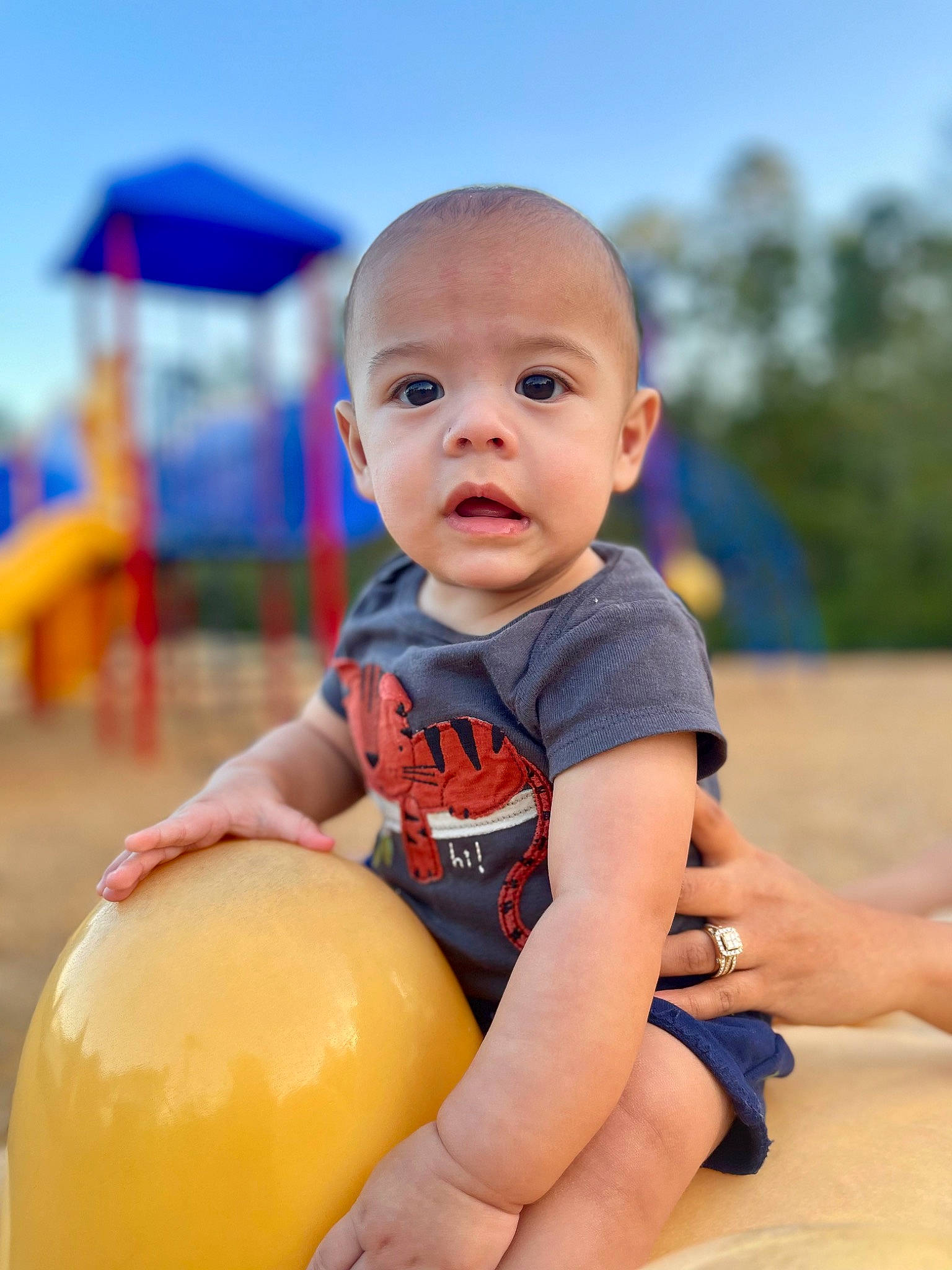 Kaizer is registered to the contest to win money with this photo: baby, baby_playing_with_toys, baby_toddler_clothing, ball, child, electric_blue, facial_expression, fun, happy, human_leg, knee, leisure, people_in_nature, person, play, recreation, sitting, skin, sky, thigh