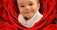 Thiméo participe au concours pour gagner de l'argent avec cette photo : adorable, baby, bloom, centered_subject, child, closeup, cute, dew, face, floral_background, flower, green_leaves, infant, petals, portrait, red_rose, rose, smile, studio_style, white_bow