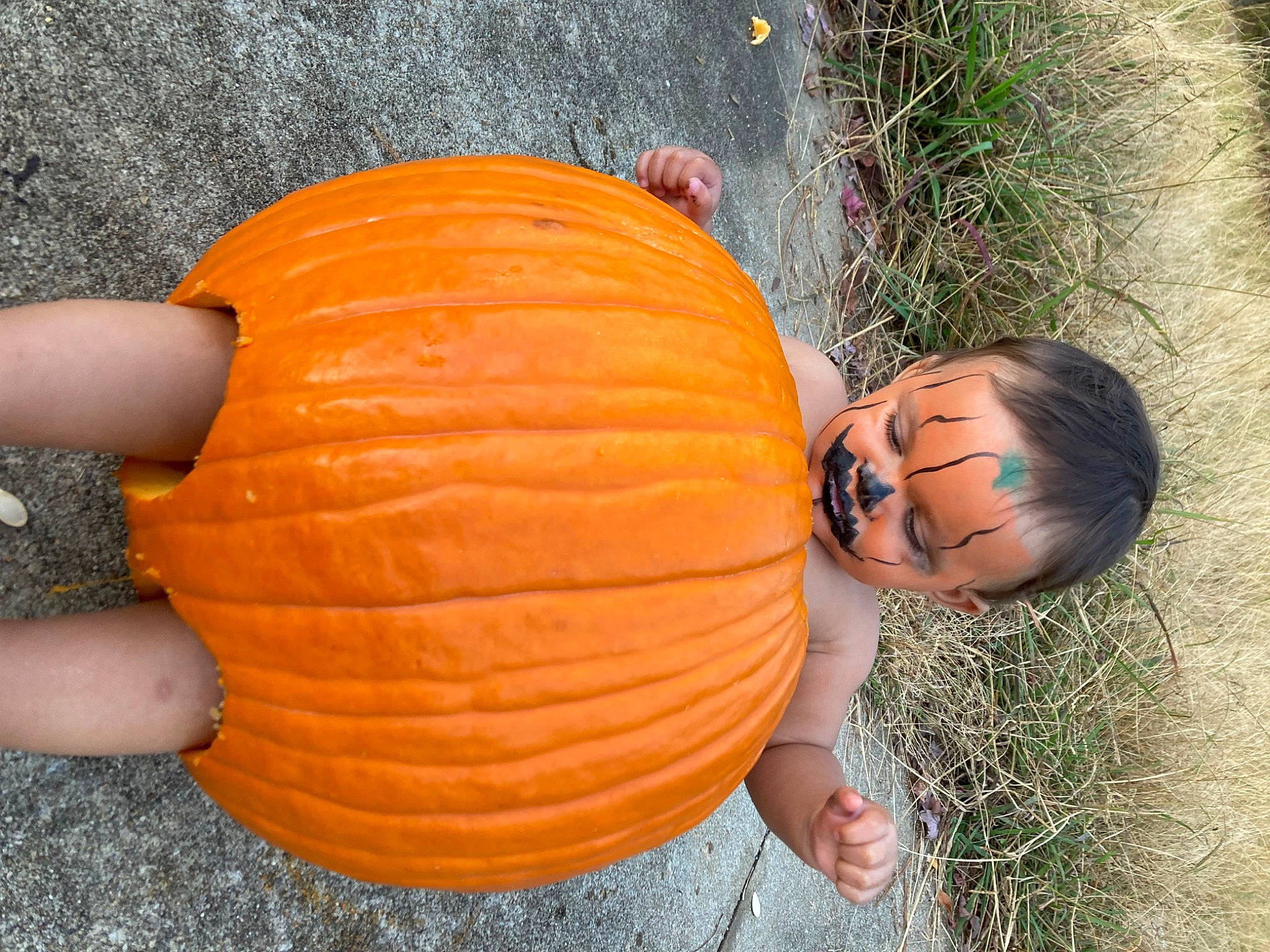 Wyndu is registered to the contest to win money with this photo: art, calabaza, cucurbita, food, fruit, gourd, grass, happy, local_food, natural_foods, orange, people_in_nature, person, plant, produce, pumpkin, squash, superfood, vegetable, winter_squash