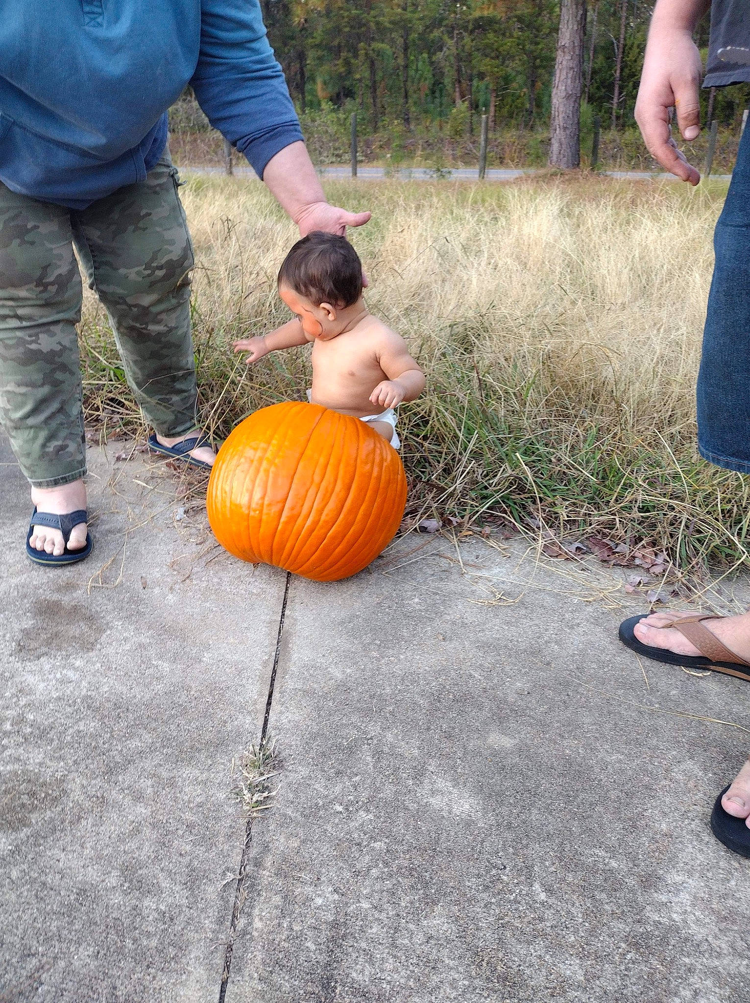 Wyndu joined the competition — help win amazing prizes! art, asphalt, calabaza, cucurbita, eye, gourd, grass, local_food, natural_foods, people_in_nature, person, plant, produce, pumpkin, road_surface, shorts, squash, tradition, tree, vegetable