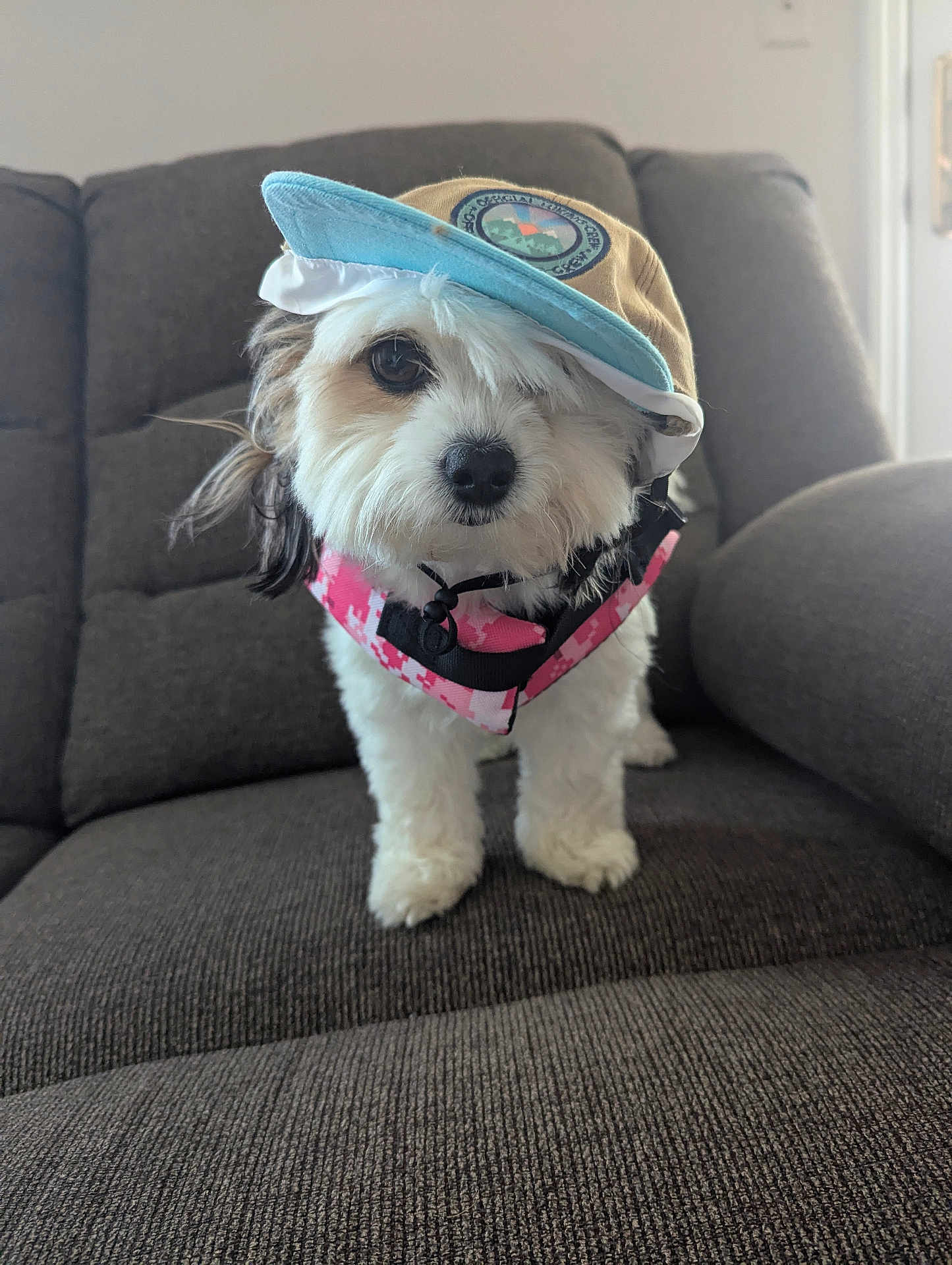 Bailey