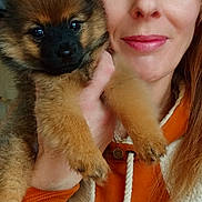 Shaggy participe au concours pour gagner de l'argent avec cette photo : woman, puppy, dog, pet, face, portrait, smile, orange_hoodie, fur, hand, indoor, cute, animal, closeup, brown_eyes, long_hair, friendship, warm, love, cozy