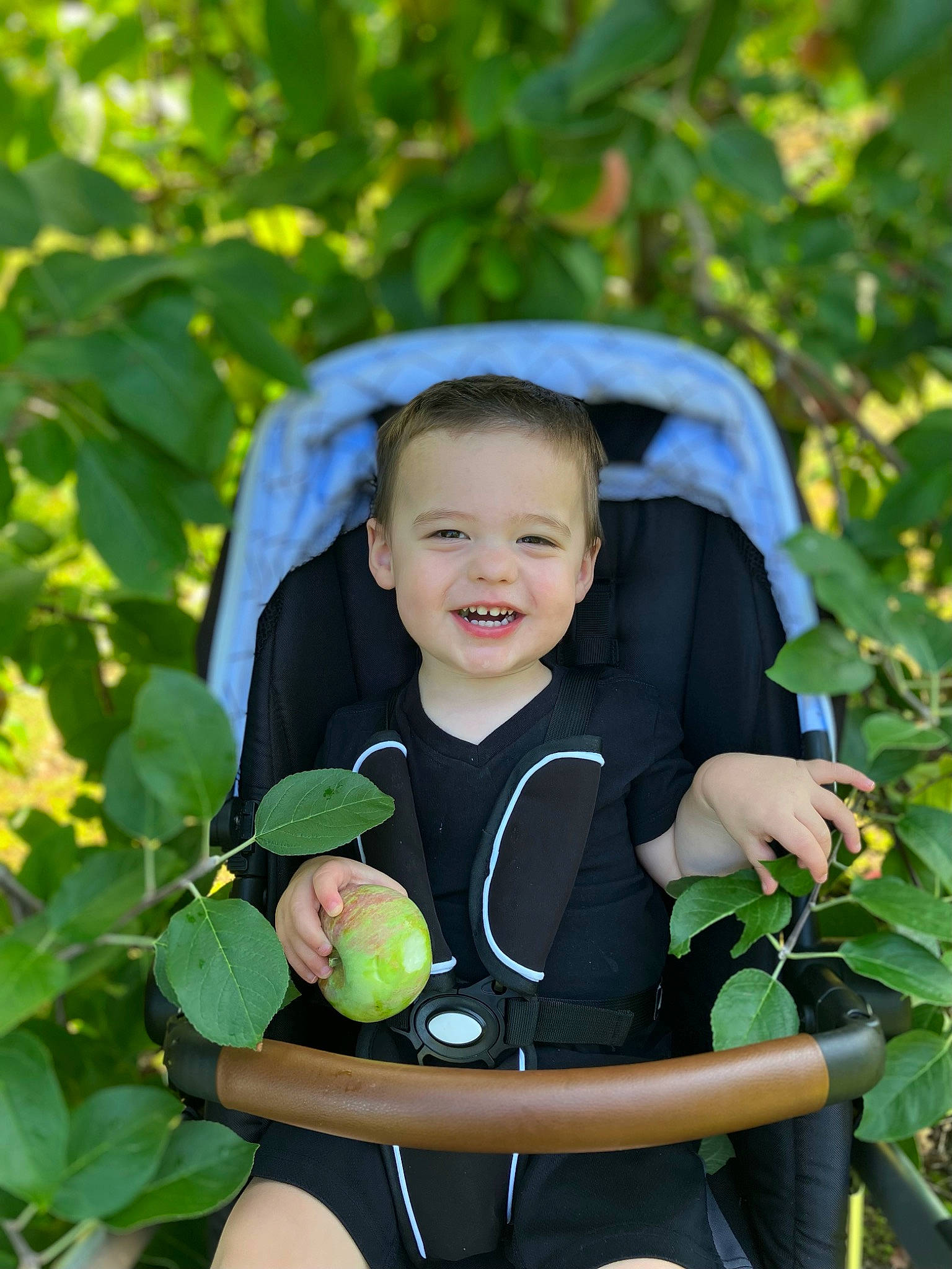 Bradley joined the competition — help win amazing prizes! baby, baby_products, baby_toddler_clothing, child, fruit, fun, grass, happy, joy, leisure, natural_foods, people_in_nature, person, plant, produce, recreation, sitting, smile, t_shirt, toddler