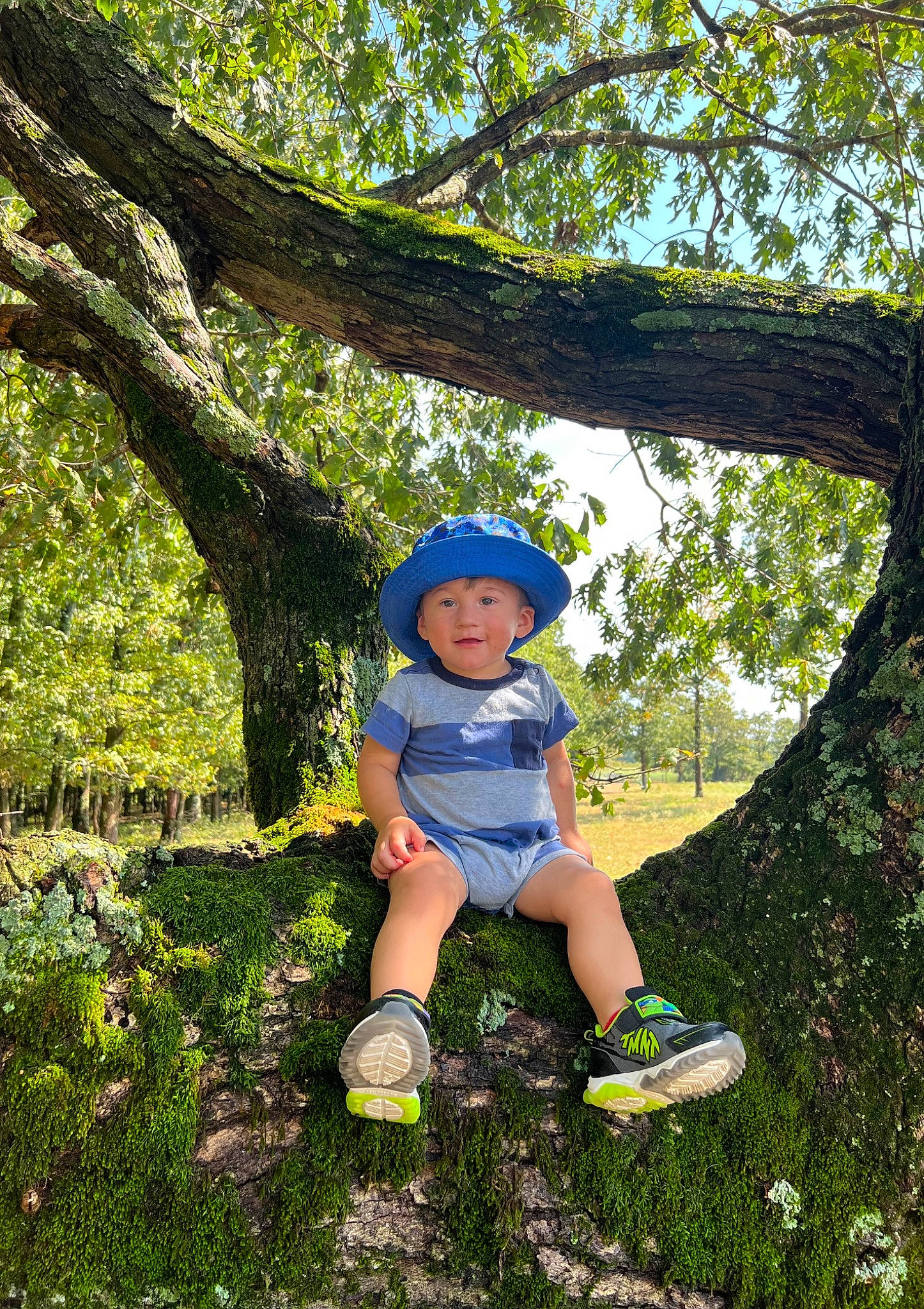 Tanner joined the competition — help win amazing prizes! baby_toddler_clothing, child, electric_blue, forest, fun, grass, groundcover, happy, headwear, landscape, leisure, nature, people_in_nature, person, plant, recreation, sky, sun_hat, toddler, tree