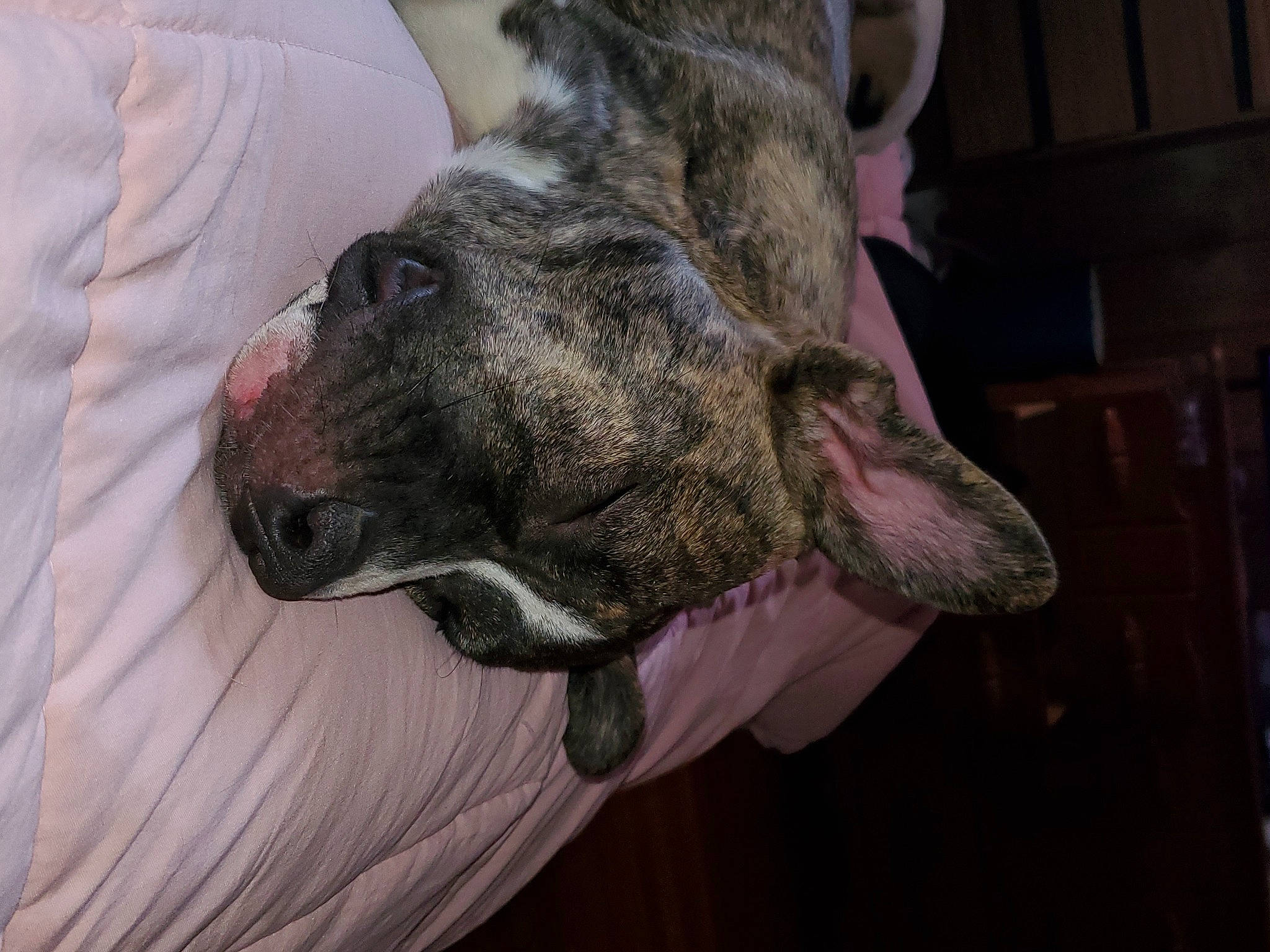 Roxy