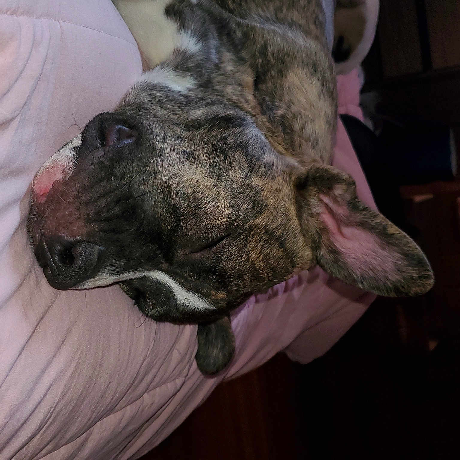 Roxy