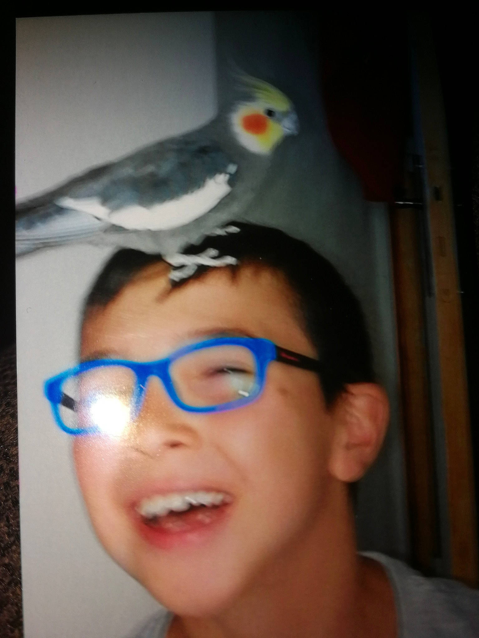 Chipie a rejoint le concours — aidez-le/la à gagner de superbes lots ! beak, common_pet_parakeet, cool, eye, eyebrow, eyewear, face, facial_hair, forehead, glasses, head, headwear, lip, neck, nose, parrot, person, smile, vision_care