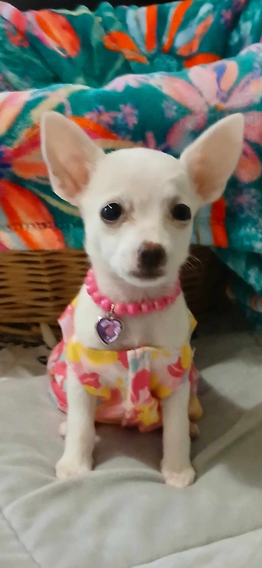 Baby Girl