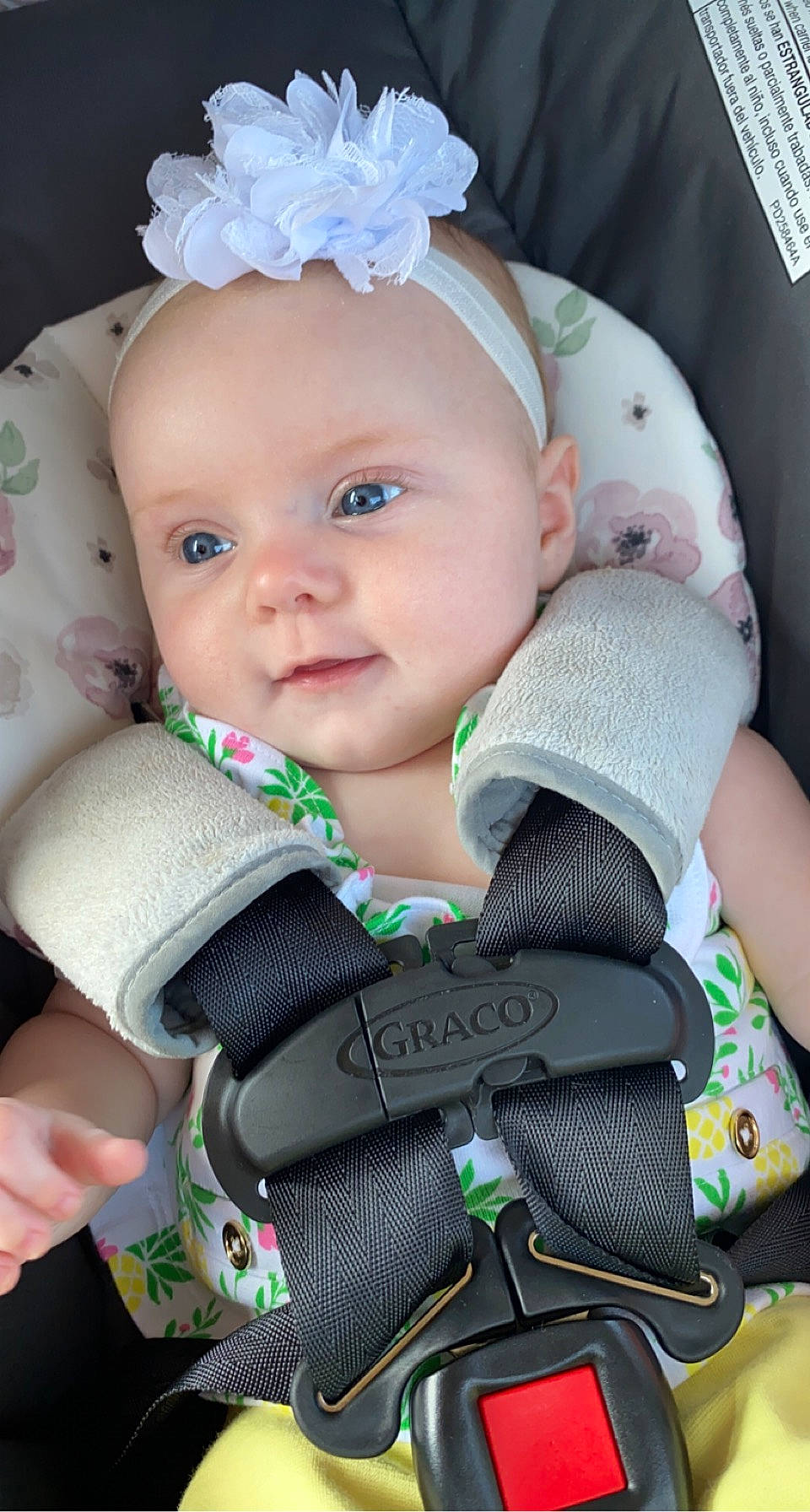 Charlotte is registered to the contest to win money with this photo: baby, baby_toddler_clothing, beauty, blue, cheek, child, comfort, cool, dress, finger, iris, outerwear, person, pink, product, skin, sleeve, smile, textile, toddler