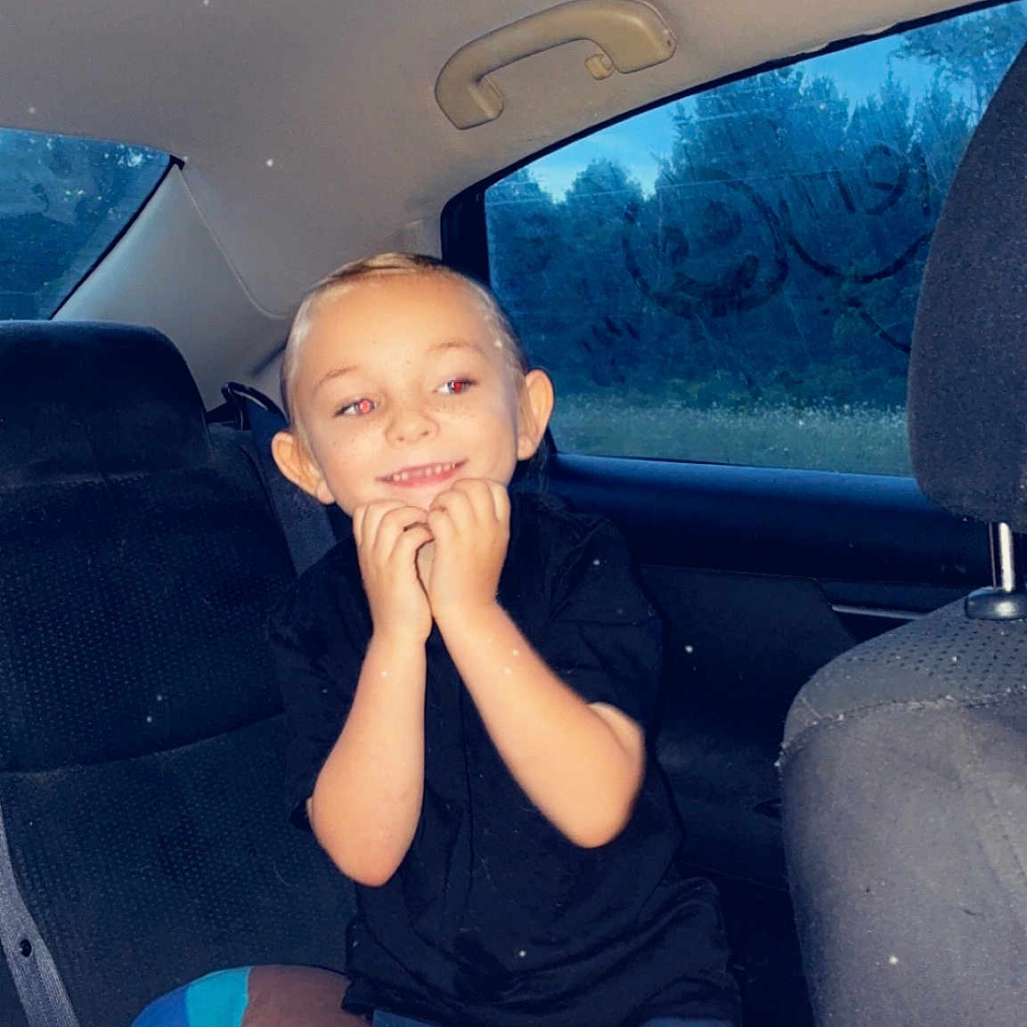 Bentlee is registered to the contest to win money with this photo: child, car_interior, backseat, smiling, window, summer, butterfly, shorts, black_shirt, seat_belt, pillow, hand_gesture, happy, portrait, young, cute, vehicle, daytime, nature_outside, casual