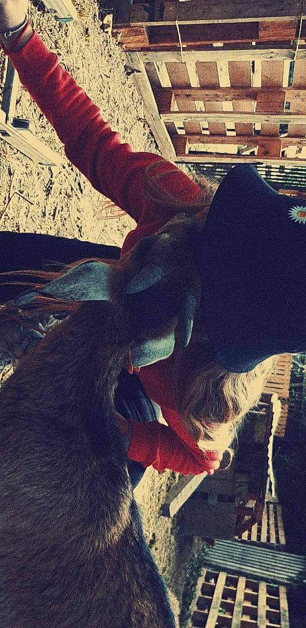 Jesus participe au concours pour gagner de l'argent avec cette photo : canidae, gesture, guard_dog, hand, interaction, jeans, love, photography, sporting_group