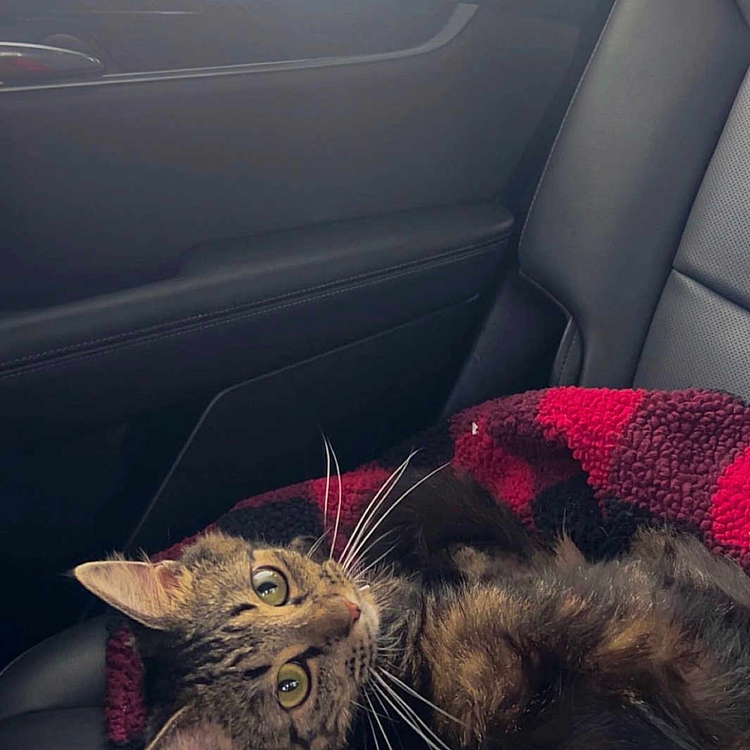 Minnie