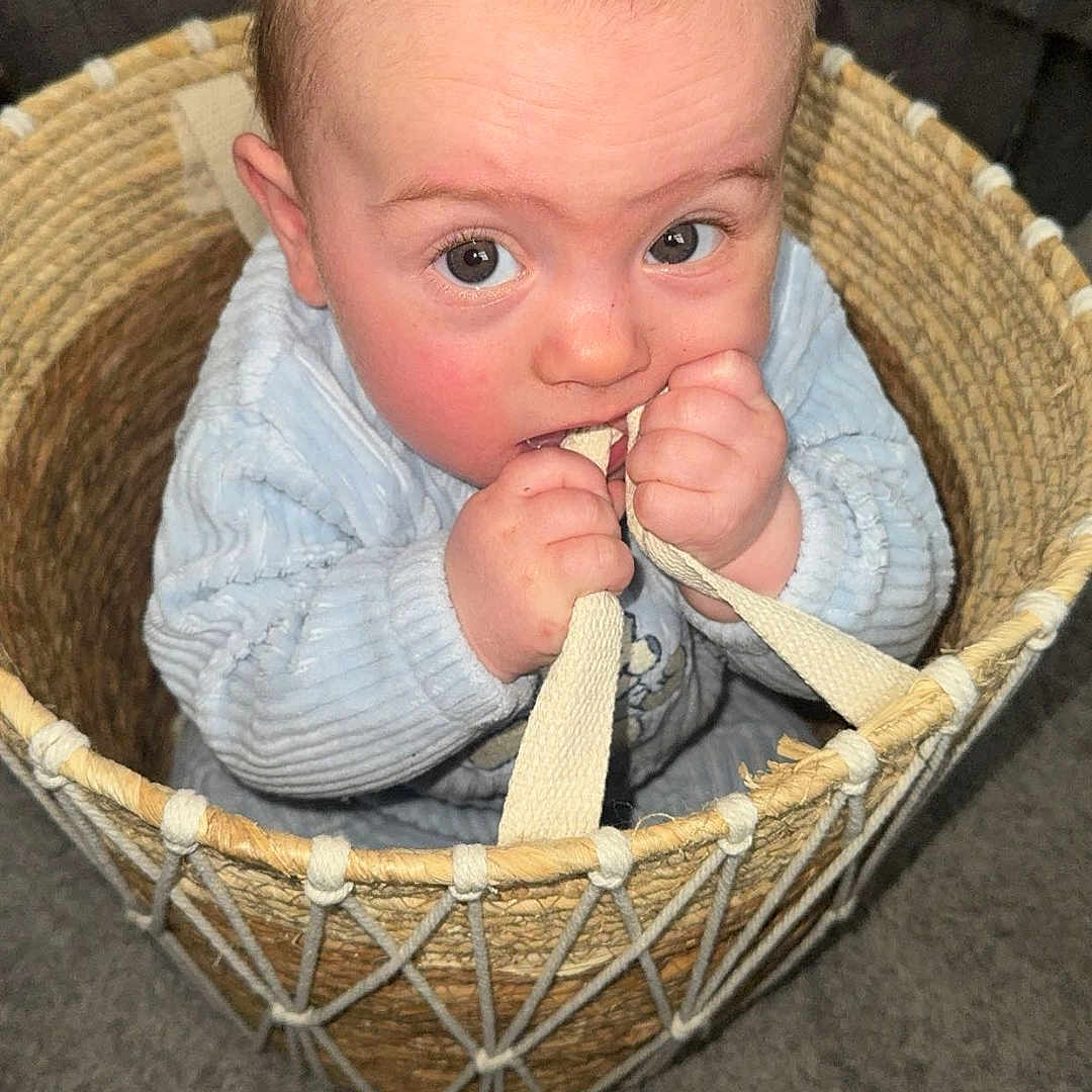Louie-Andrew joined the competition — help win amazing prizes! baby, basket, bed, clothing, coat, couch, crib, cutlery, face, furniture, head, infantbed, jacket, newborn, pants, person, photography, portrait, sitting, spoon