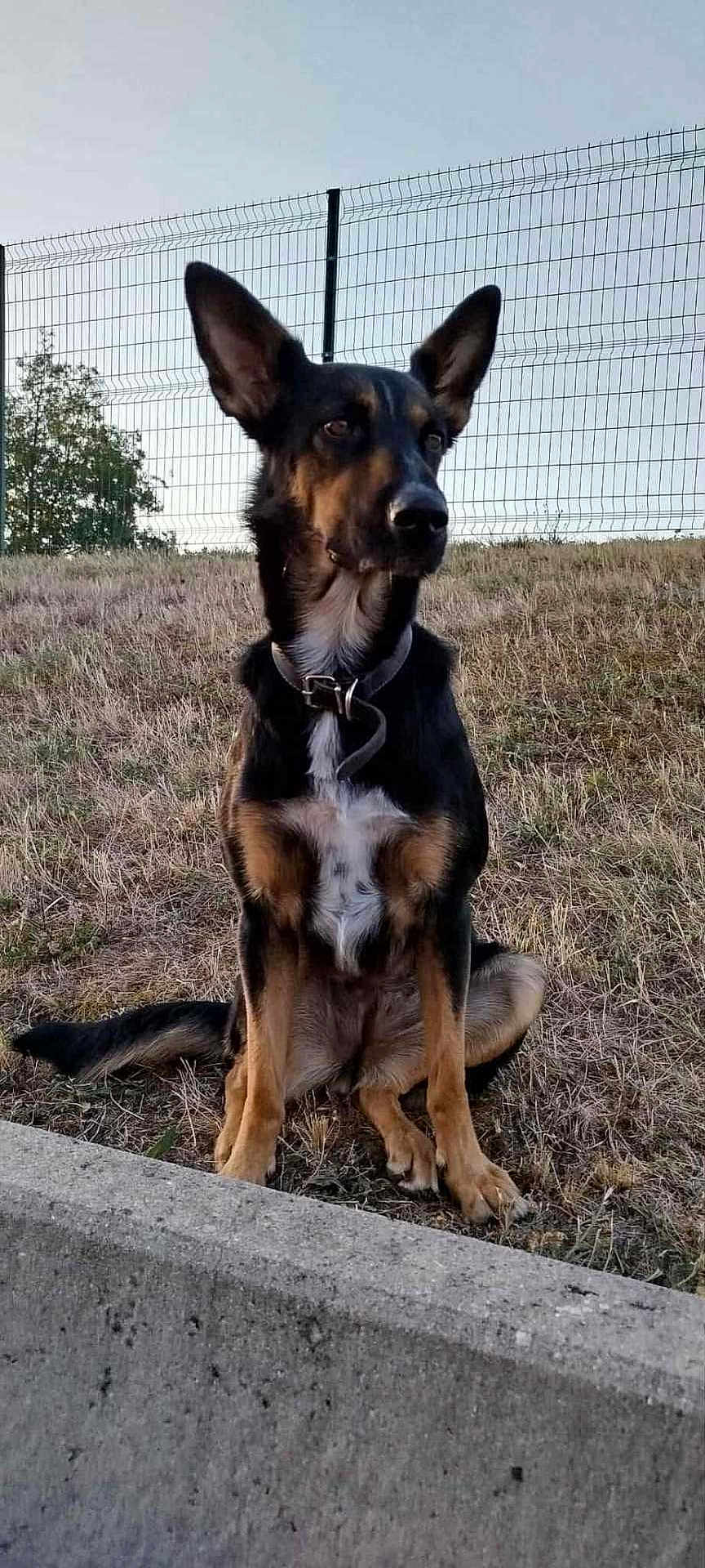 Tina