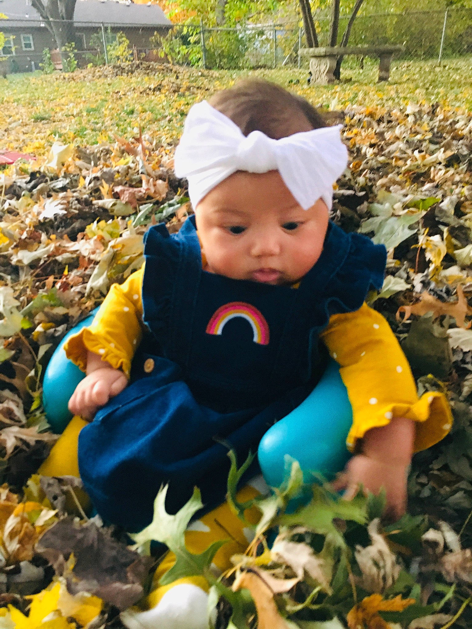 Laylah joined the competition — help win amazing prizes! baby, baby_toddler_clothing, child, deciduous, eye, fun, grass, happy, headwear, human_body, leaf, outerwear, people_in_nature, person, photograph, plant, pumpkin, sitting, toddler, toy