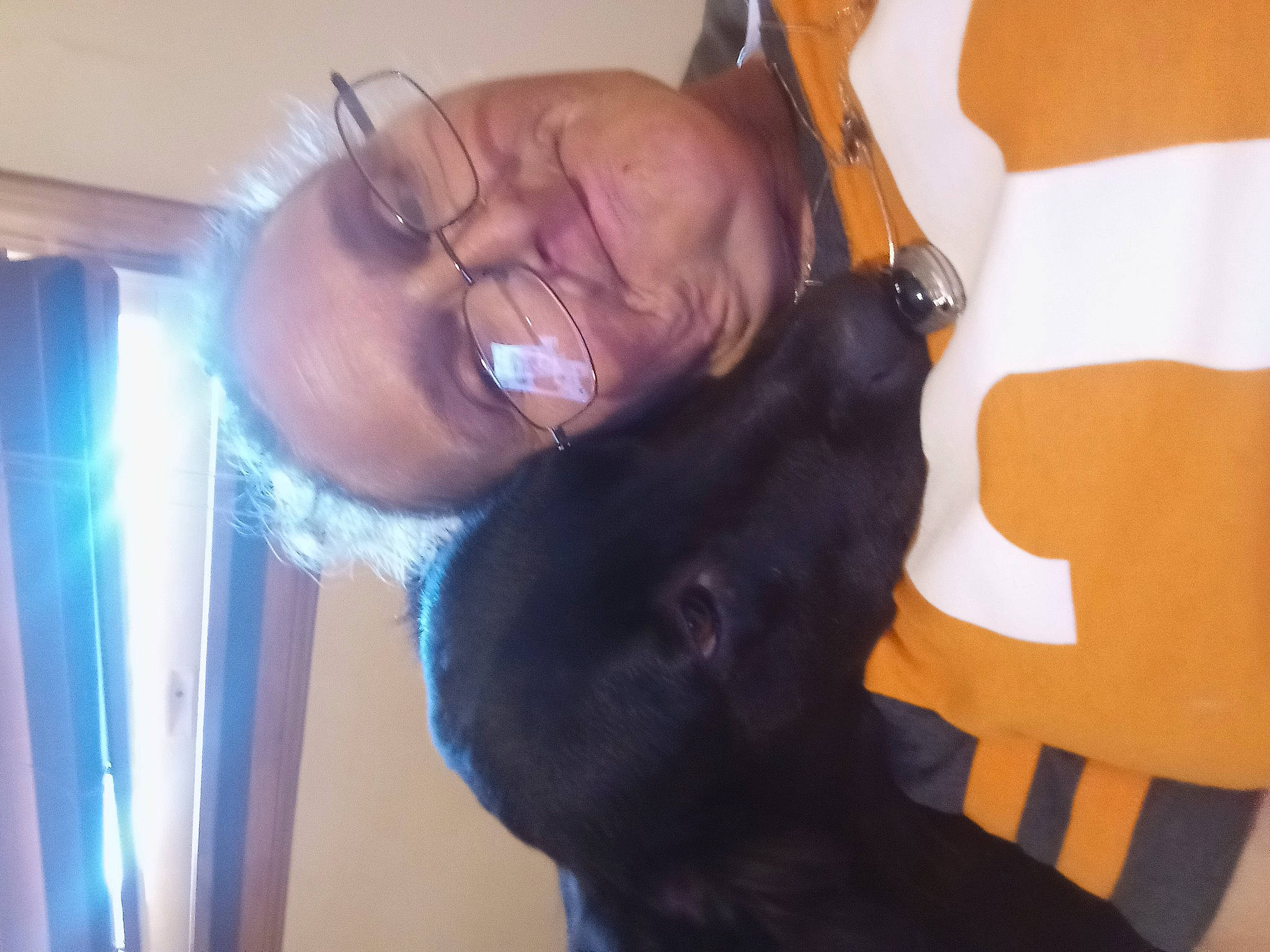 Eva joined the competition — help win amazing prizes! carnivore, cat, chest, comfort, companion_dog, dog_breed, ear, elbow, felidae, fun, fur, gesture, glasses, happy, jaw, shoulder, small_to_medium_sized_cats, smile, thumb, whiskers