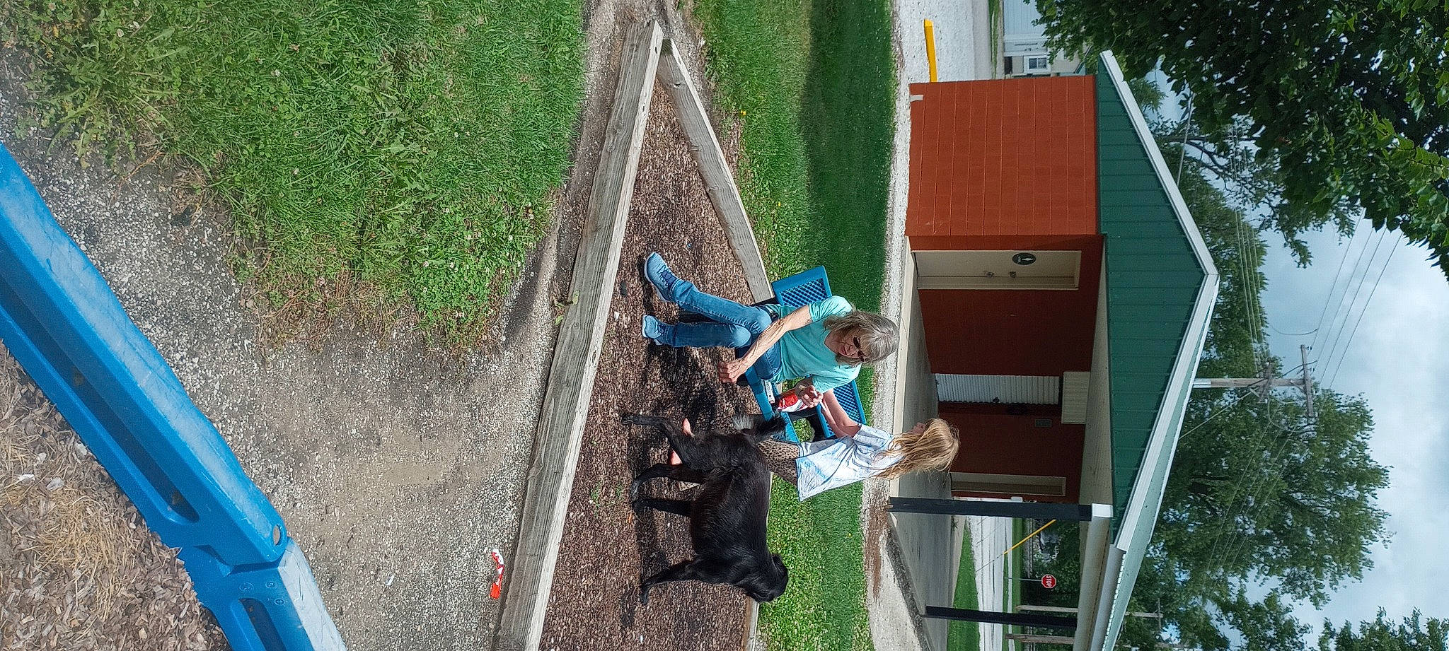 Eva is registered to the contest to win money with this photo: adventure, backyard, city, fun, grass, green, house, landscape, leisure, outdoor_play_equipment, plant, play, recreation, roof, soil, tree, wood, yard