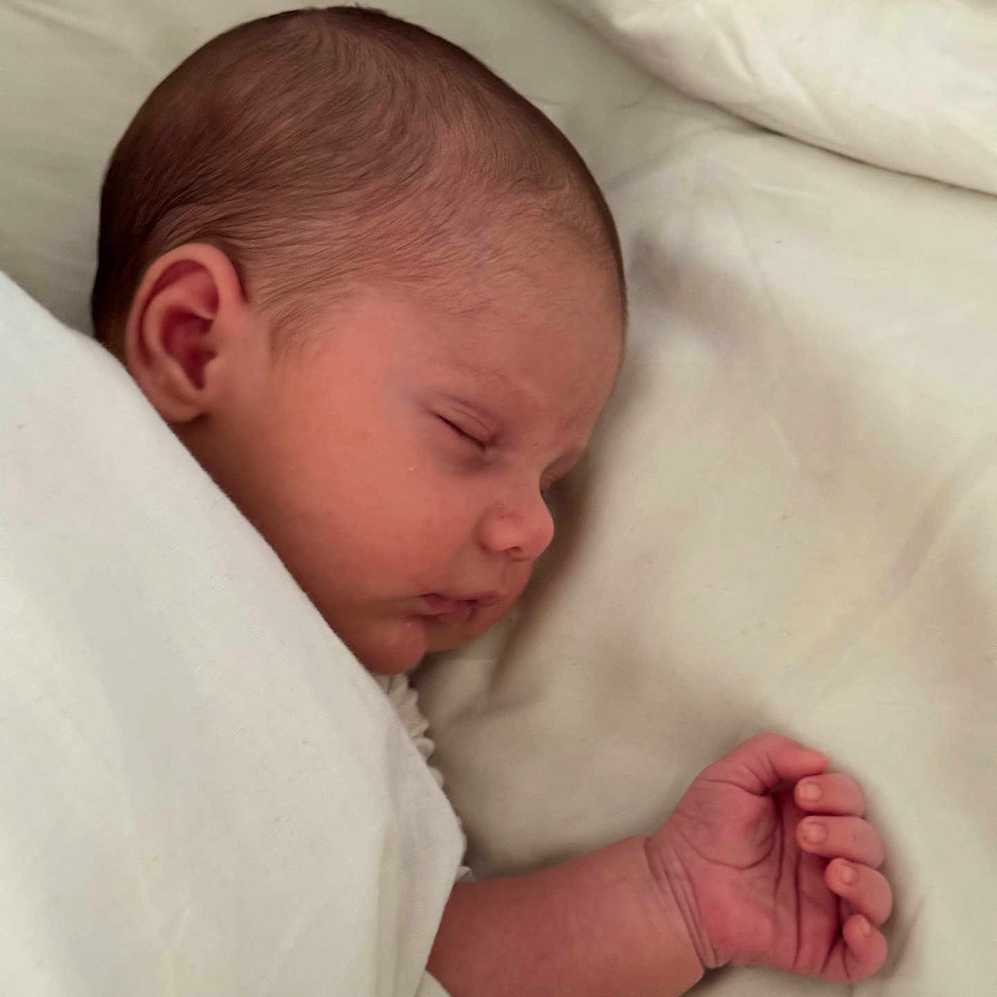 Arod participe au concours pour gagner de l'argent avec cette photo : baby, bed, blanket, child, closeup, cute, face, hand, head, indoors, infant, newborn, peaceful, portrait, rest, skin, sleep, sleeping, soft, wrapped