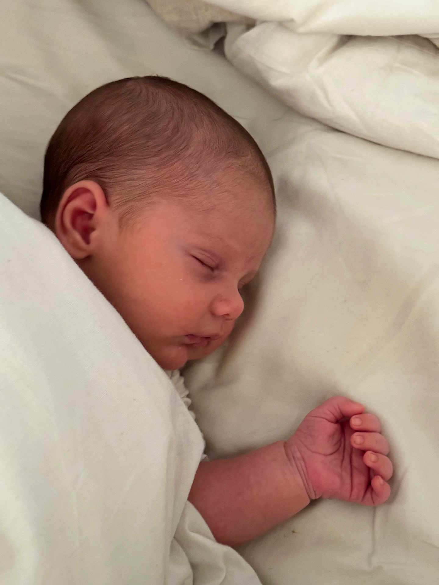 Arod participe au concours pour gagner de l'argent avec cette photo : baby, bed, blanket, child, closeup, cute, face, hand, head, indoors, infant, newborn, peaceful, portrait, rest, skin, sleep, sleeping, soft, wrapped