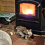 animal, cat, comfort, cozy, domestic, feline, fire, fireplace, floor, fluffy, heat, home, household, indoor, pet, relaxed, resting, warm_light, wood_stove, wooden_floor