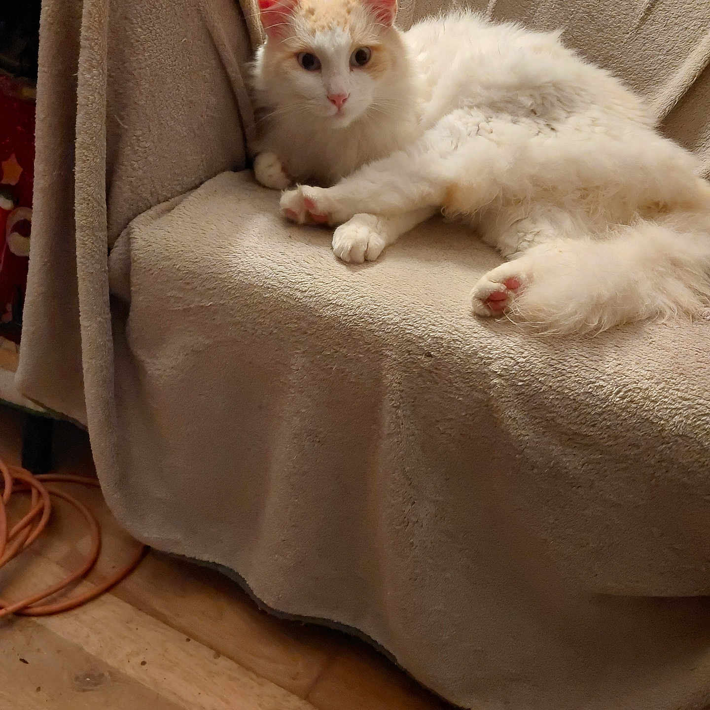 Lumi