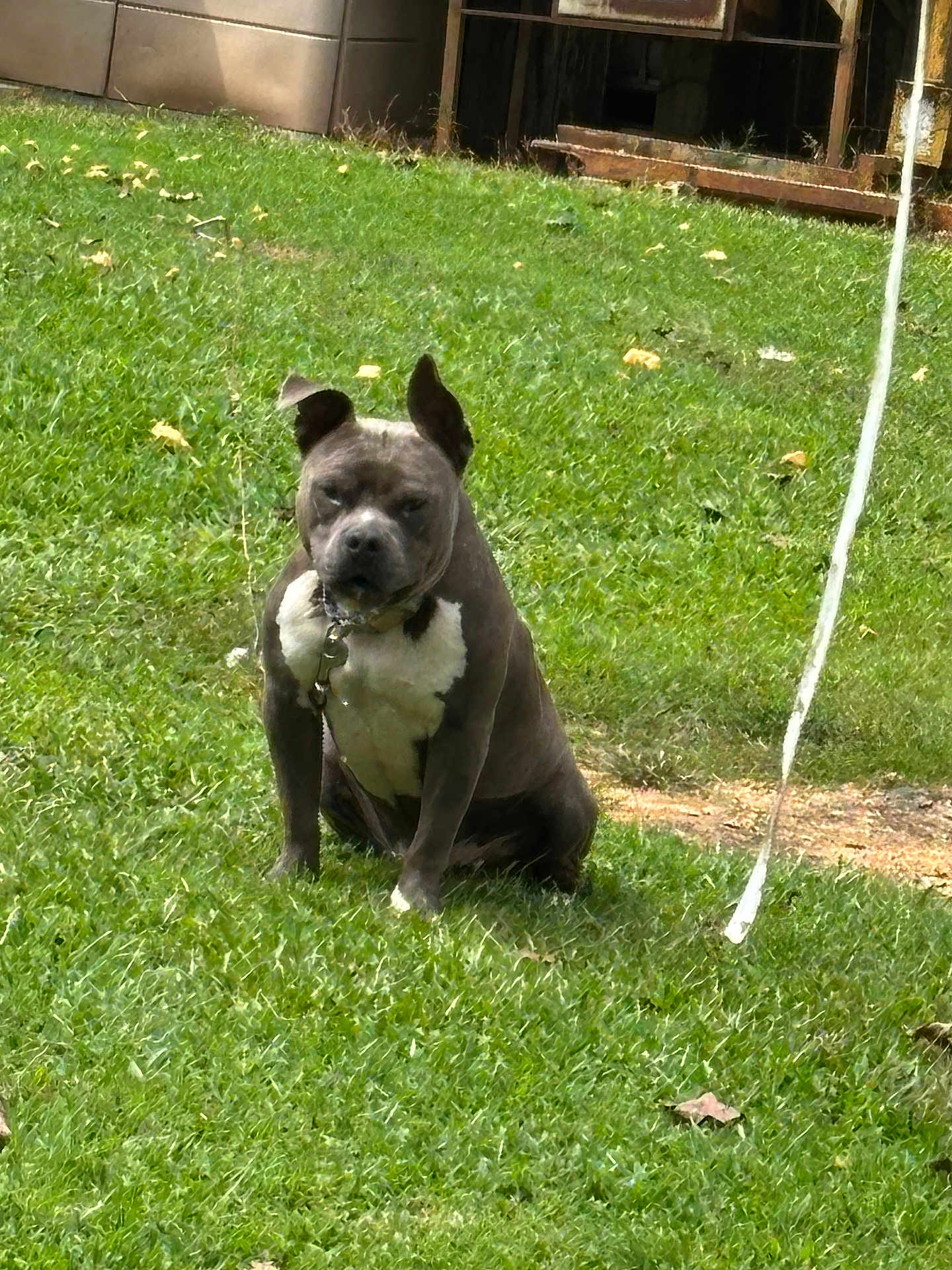 Duke
